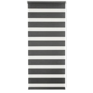 Штора рулонная день-ночь Silver 70x160 см графит