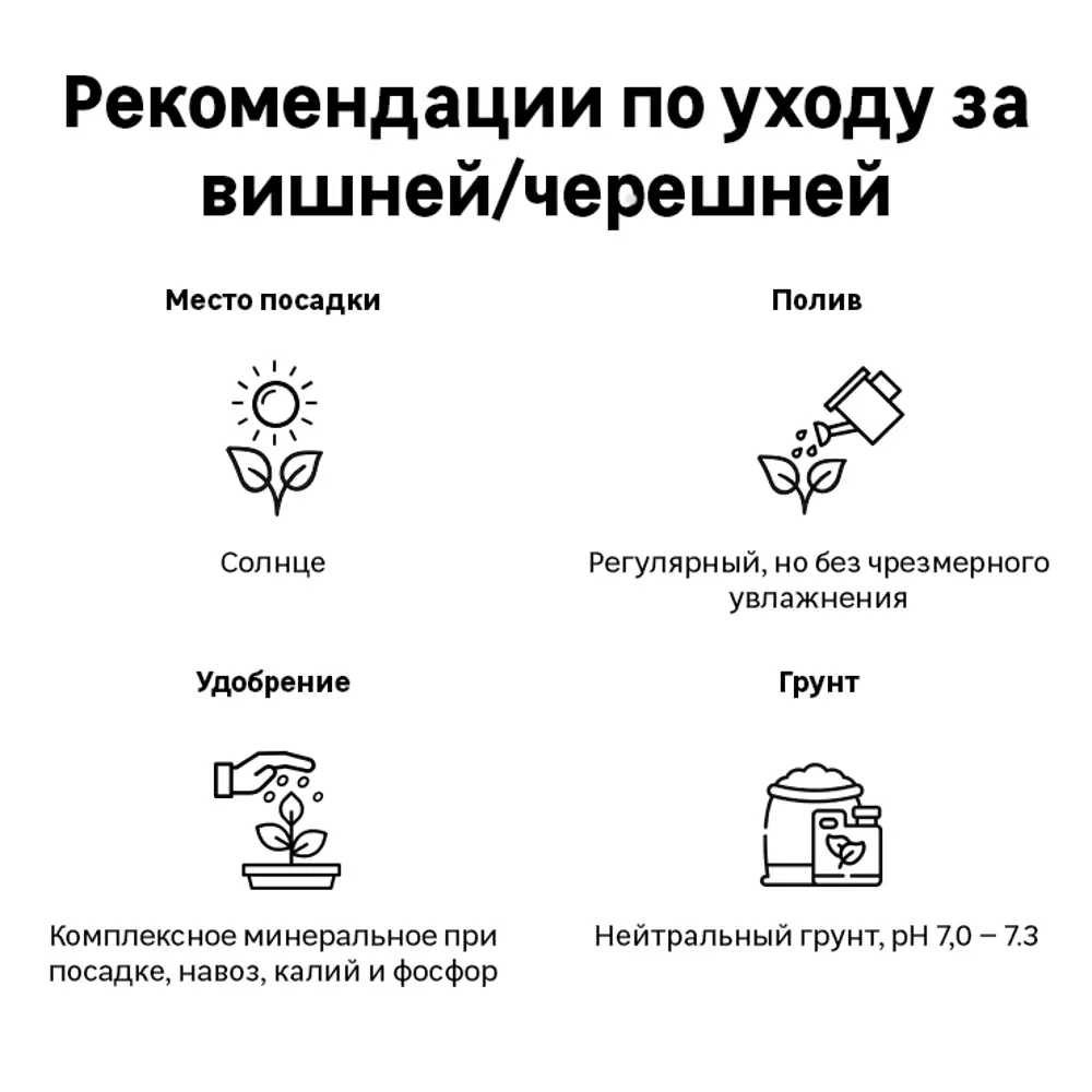 Черешня микс туба h60 см 89353020 STLM-2055024 Santreyd 