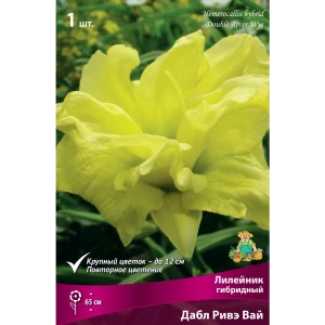 Лилейник гибридный «Дабл Ривэ Вай» 82530249 STLM-2023785