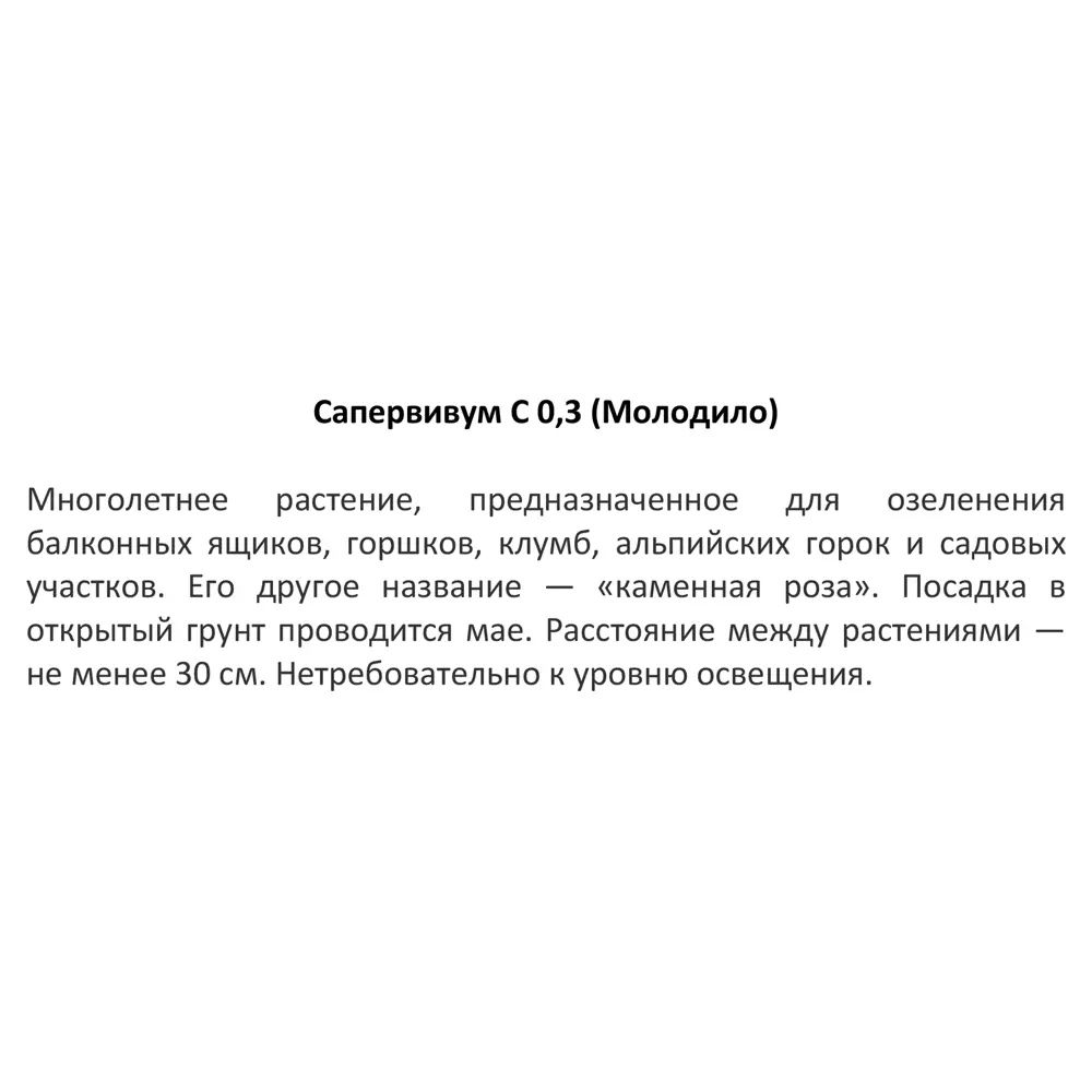Молодило гибридное h15 см 84845146 STLM-2151245 Santreyd  - Вид №2