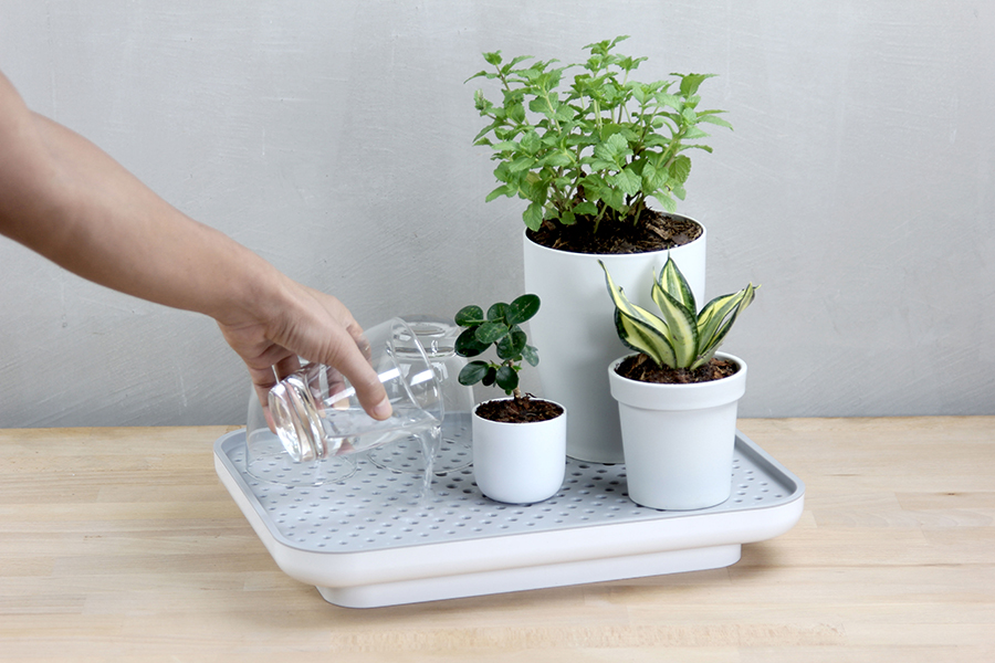 QL10309-WH-GY Лоток для полива растений oasis tray белый Qualy  - Вид №4