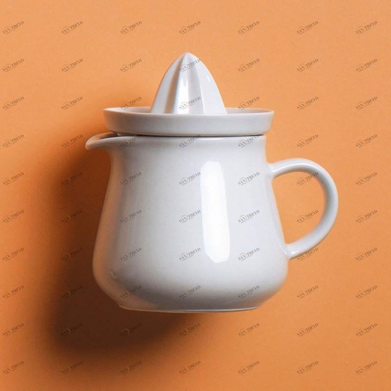 39B103A90039C MG Пяти чувств мини-кувшин 0,50 л + Соковыжималка белого магического захвата Kahla-porzellan 