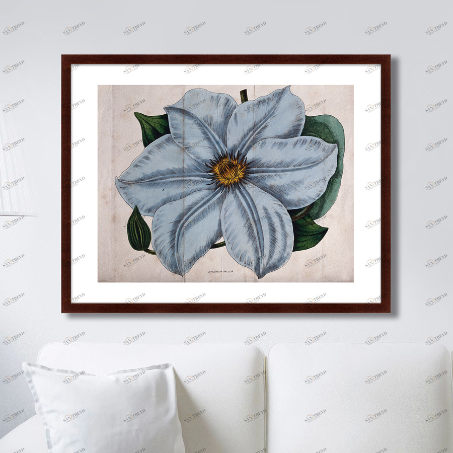 Картина в раме 78,5х100 см Exotic plants of the world №13, 1815г. КАРТИНЫ В КВАРТИРУ  264357 Голубой;зеленый;разноцветный 