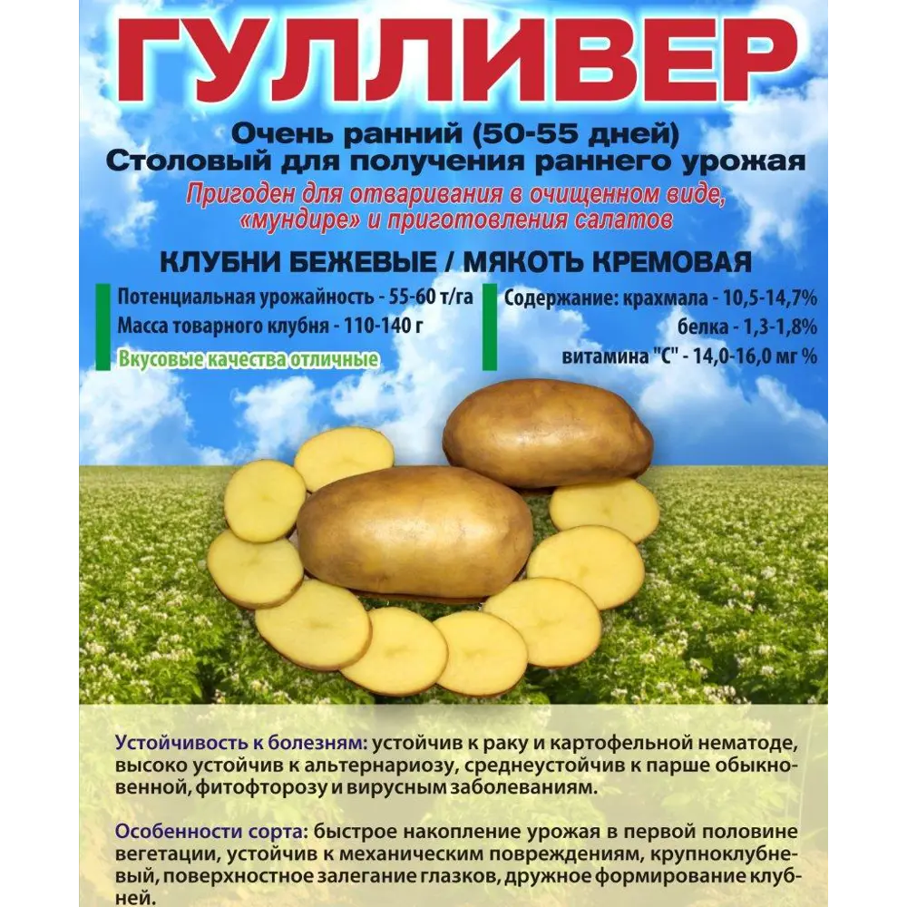 Картофель Гулливер Суперэлита 2 кг 89413142 STLM-2042853 Santreyd 