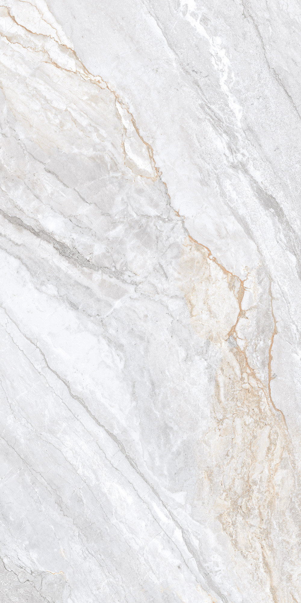 Керамогранит TRIVOLA BIANCO 60х120 Arcadia Ceramica CR4016-A - Вид №5