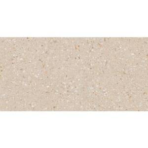 Керамогранит Aglomerat AG 02 60x120 Неполированный