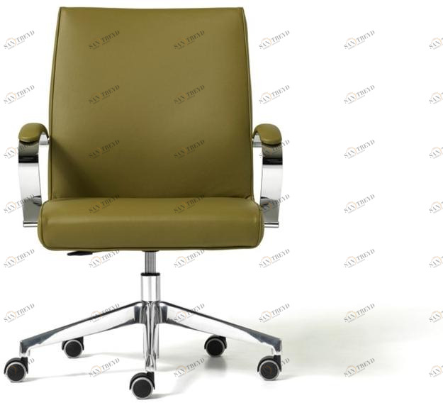 Diemme Офисное кресло из кожи с 5-ю спицами и подлокотниками Venus sun-id-1450064