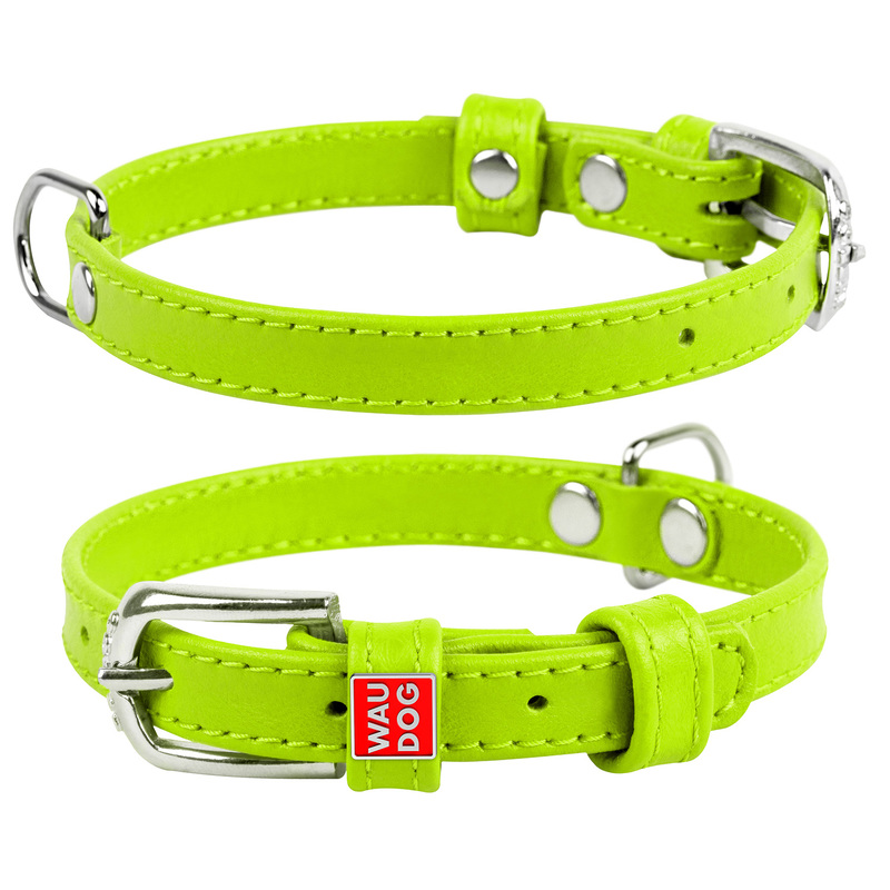 ПР0053773 Ошейник для собак Waudog Glamour без украшений (ширина 12мм, длина 21-29см) зелёный COLLAR  - Вид №1