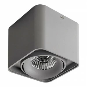 Потолочный светильник Lightstar Monocco 212519 LIGHTSTAR MONOCCO 083156 Серый