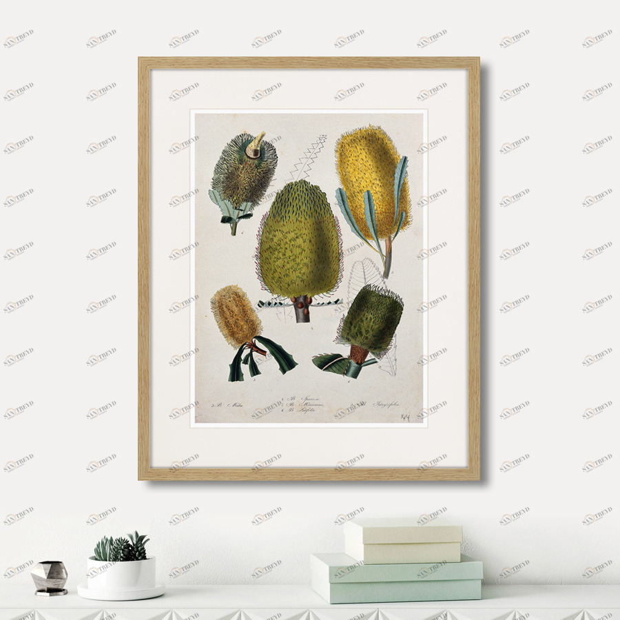 Картина в раме 52х42 см Exotic plants of the world №1, 1815г. КАРТИНЫ В КВАРТИРУ  264349 Зеленый;коричневый;разноцветный 