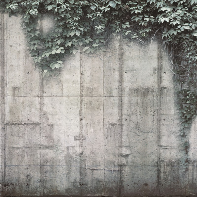 WP08075A Обои декоративные Adriani e Rossi 