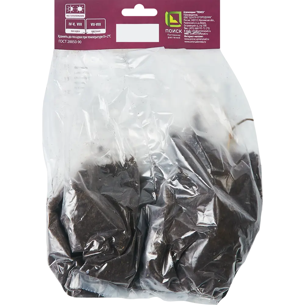 Флокс метельчатый Юник Олд Чериз от ПОИСК - пурпурно-розовое цветение 86410491 STLM-1583948 - Вид №1