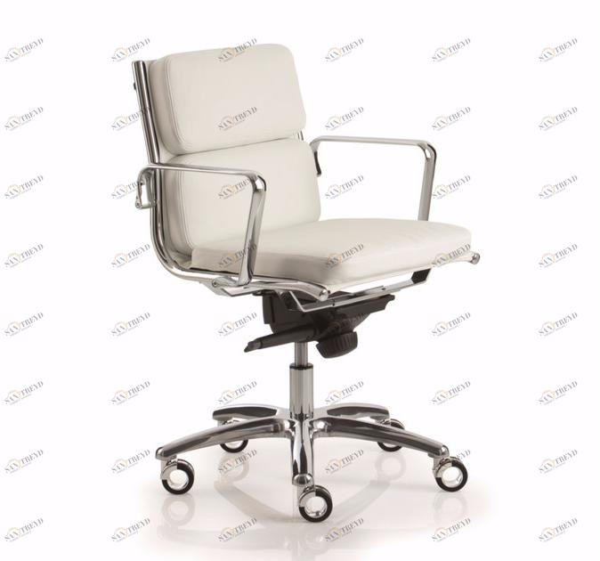 Luxy Кресло руководителя на 5-спицевой основе с подлокотниками с низкой спинкой Light sun-id-1348892