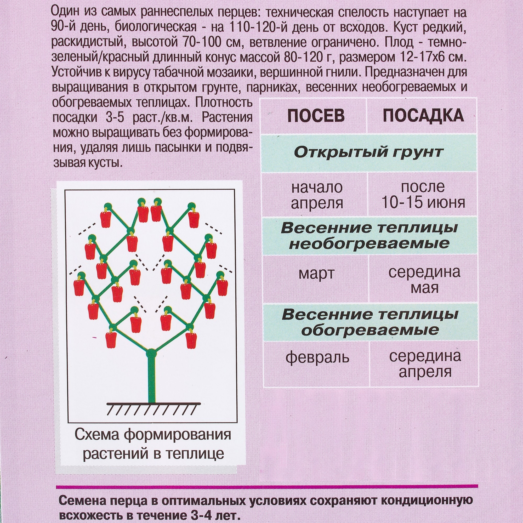 81932538 Семена Перец «Буратино» F1 Santreyd  - Вид №2