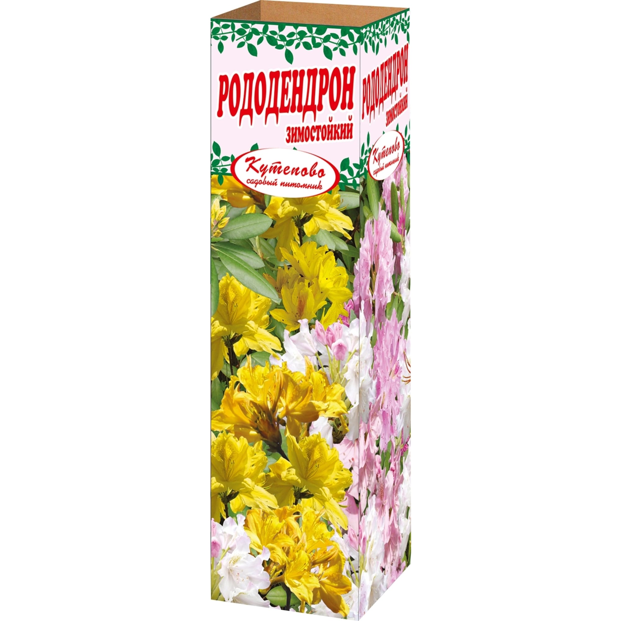 83539234 Рододендрон 9x30 см Santreyd 