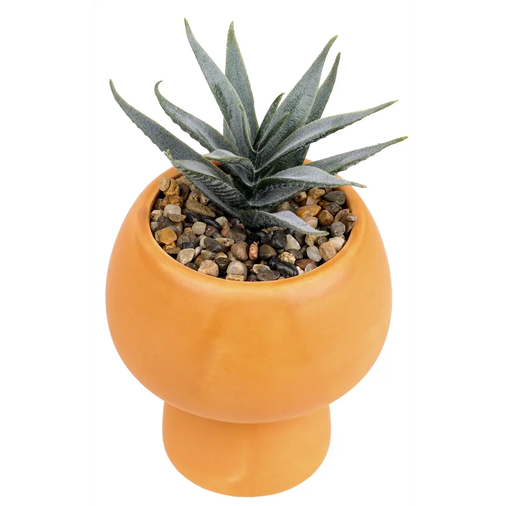 DREAM RIVER Искусственное растение Алоэ в керамическом горшке 17 см 89432372 STLM-1576478