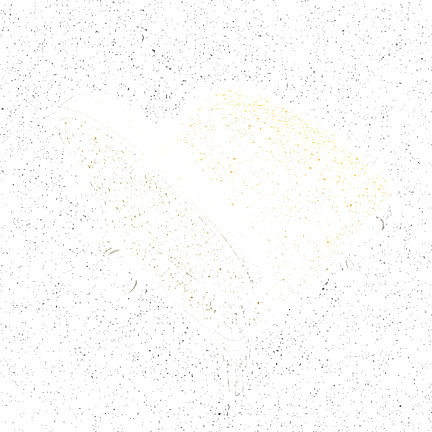 Equipo DRT Жаккардовая бархатная ткань с графическими мотивами Duncan sun-id-1442300 - Вид №9