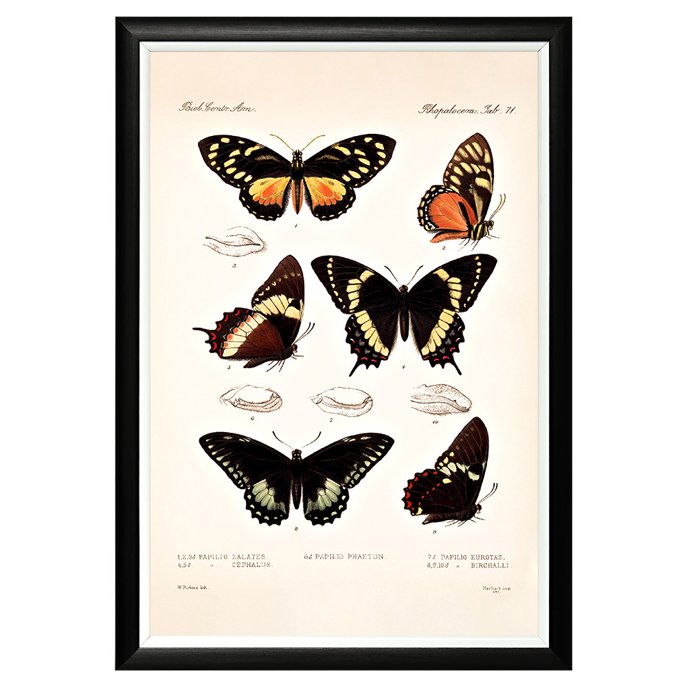 782752374_1818 Арт-постер «Тропический рай», версия 25 Object Desire 