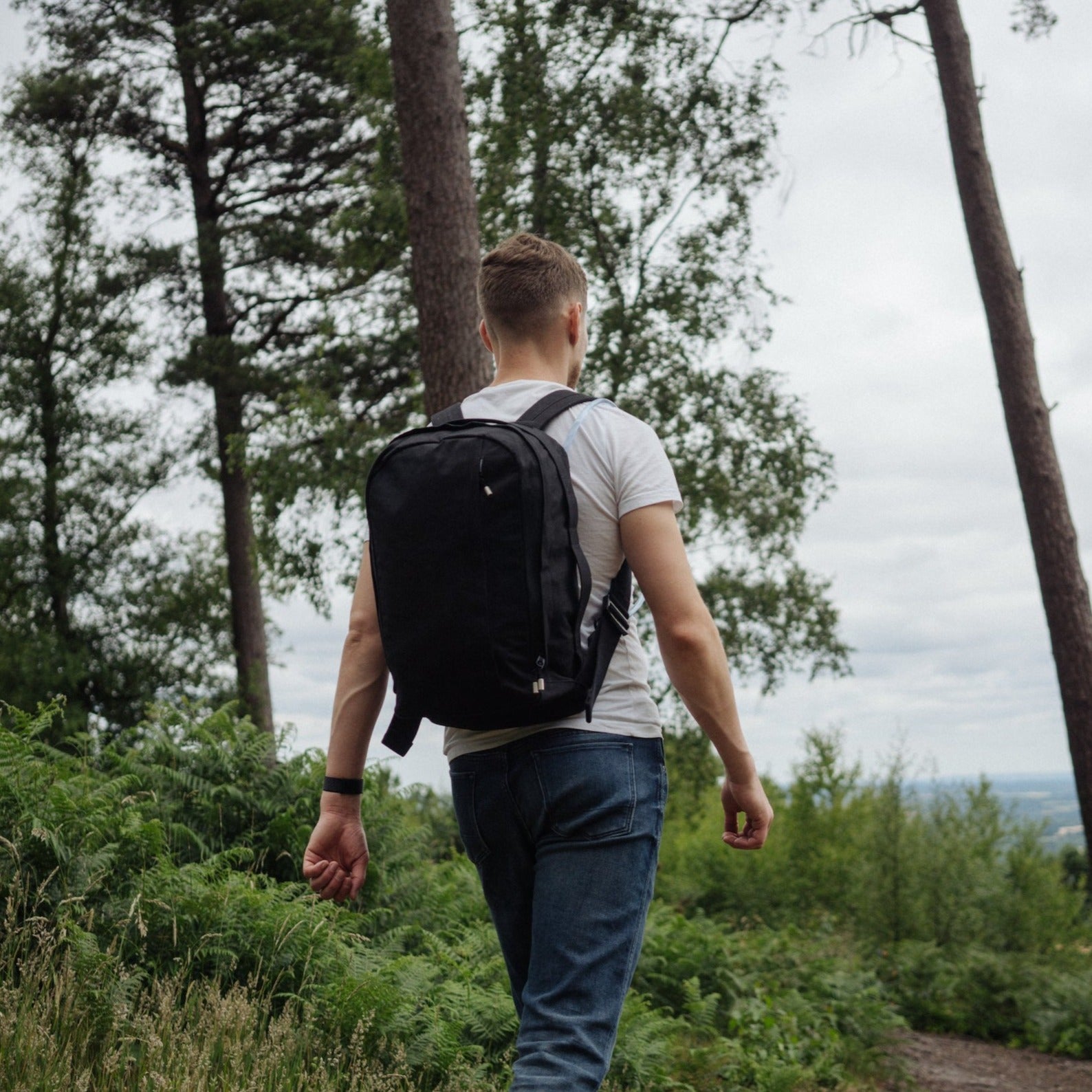 W301BLA-SAN-STE Ежедневная упаковка 21 л - песок / нержавеющая сталь Wingback  - Вид №17