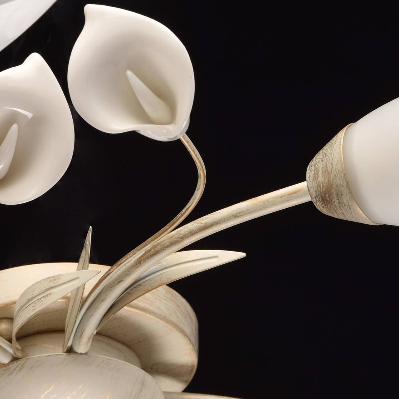 Потолочная люстра MW-Light Восторг 242016906 MW-LIGHT ВОСТОРГ 184221 Белый  - Вид №2