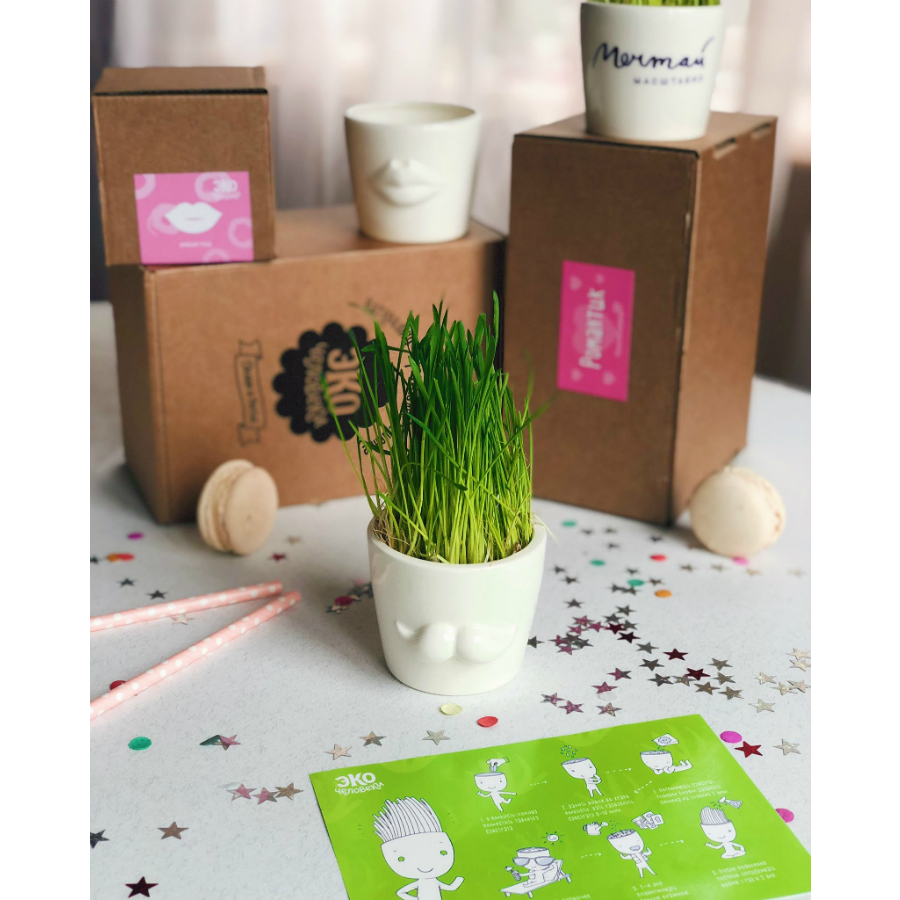 Набор для выращивания Eco мини-кашпо «Усы» ЭКОЧЕЛОВЕКИ MIN102 - Вид №8