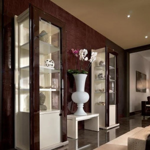 Витрина Genesis TURRI VS8