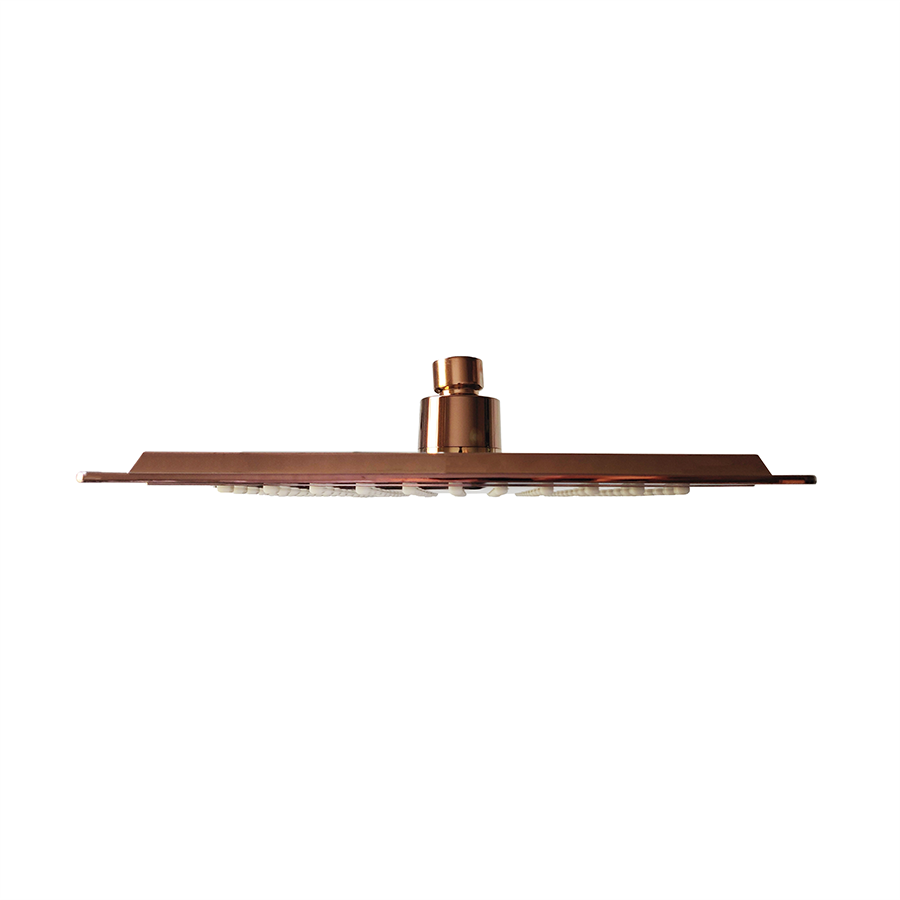 BD34027212 Bienbanyo Bien UltraSlim Душ с квадратной головкой, розовое золото 