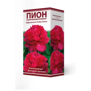 Пион травянистый Оффициналис Рубра Плена луковица 2-3 83600291 STLM-2076311
