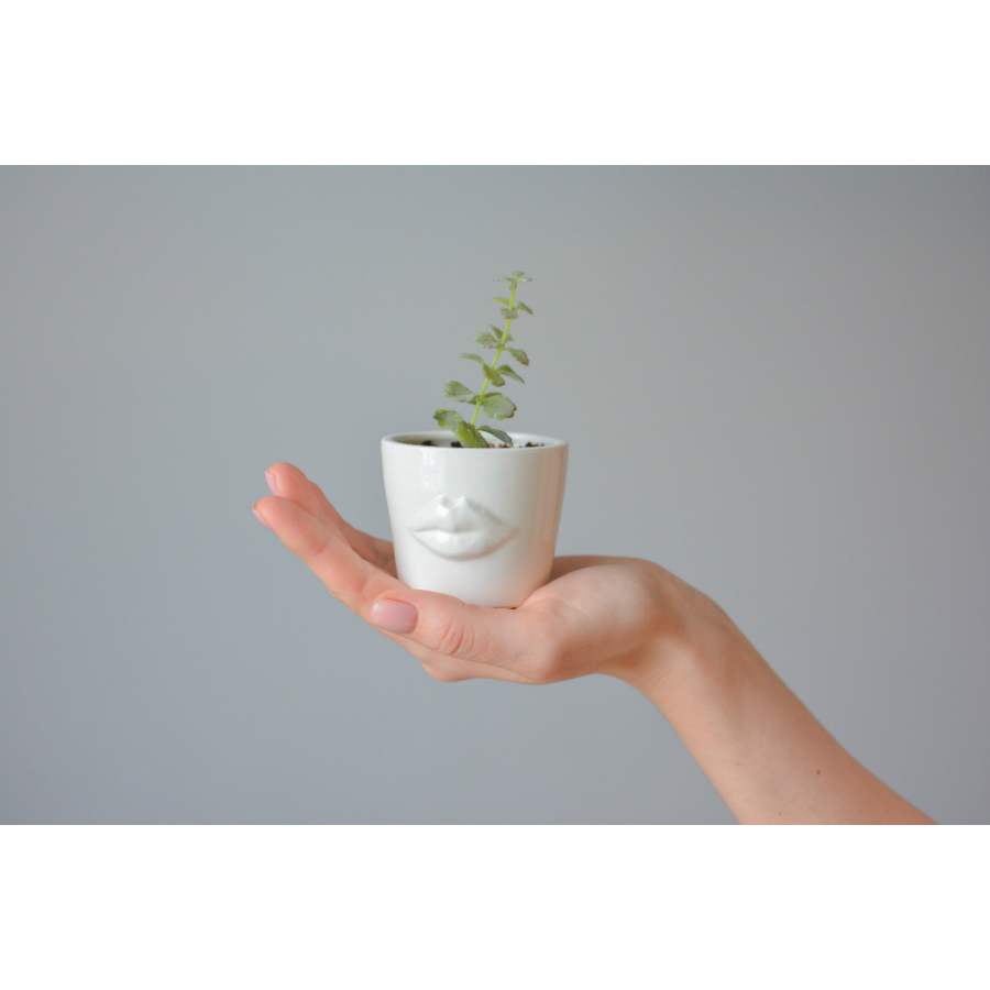 MIN-1-01 Набор для выращивания eco мини-кашпо «губы» Экочеловеки  - Вид №2