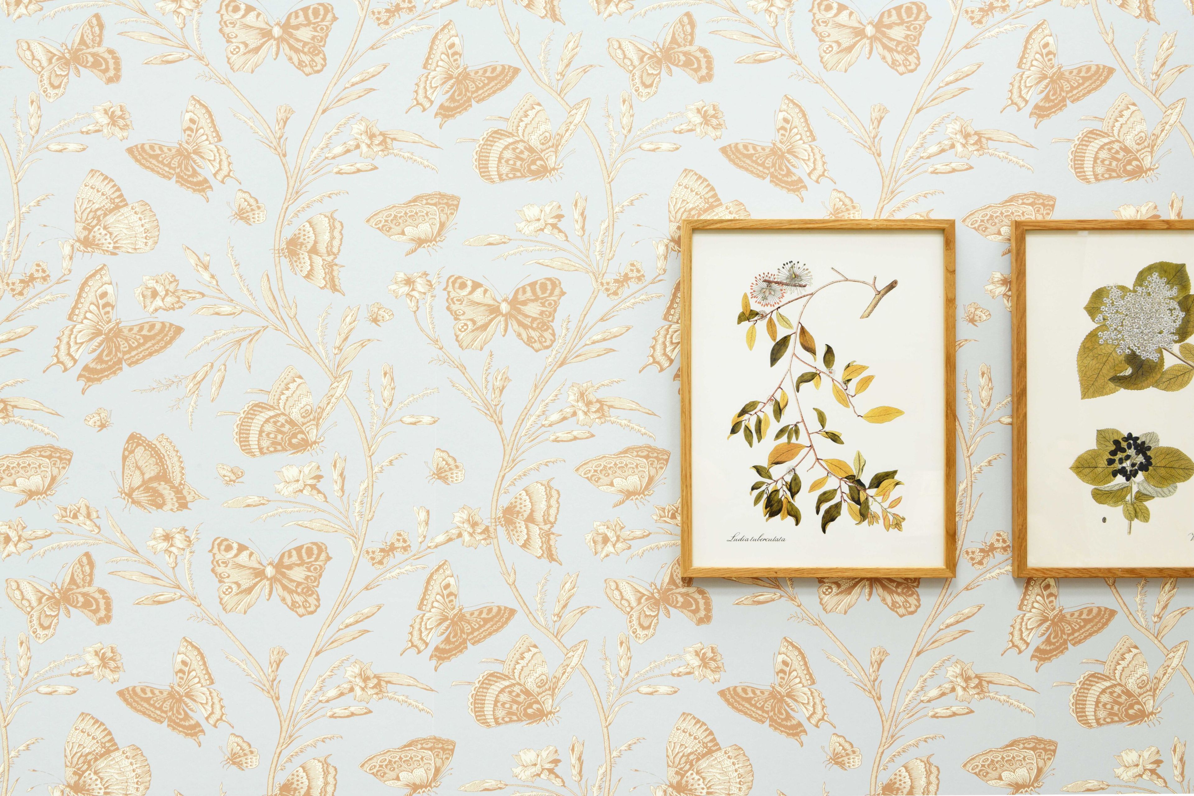 Цветочные узоры нетканые обои LELIEVRE Quenin-Belle Époque ARCH-00007690 - Вид №8