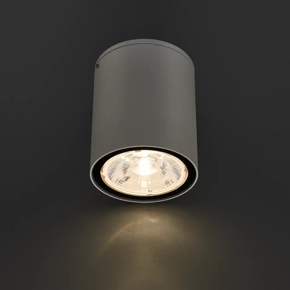 Светильник накладной Light 2103 Led IP65 7W, цвет белый 83960100 STLM-2042690 Elektrostandard  - Вид №1