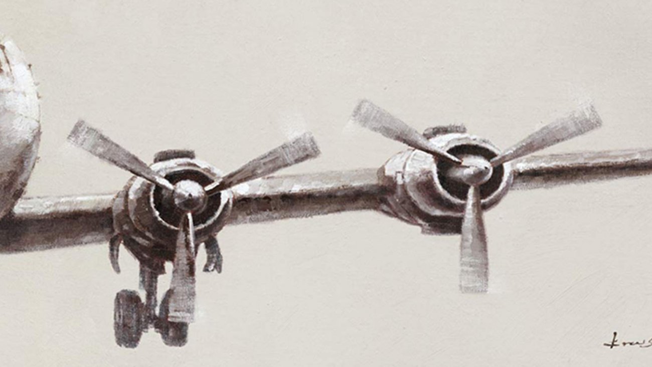 Картина на холсте 100х150 см "Самолет-2" EVENHOME КАРТИНЫ МАСЛОМ, САМОЛЕТЫ 130041 Бежевый;черный;разноцветный  - Вид №2