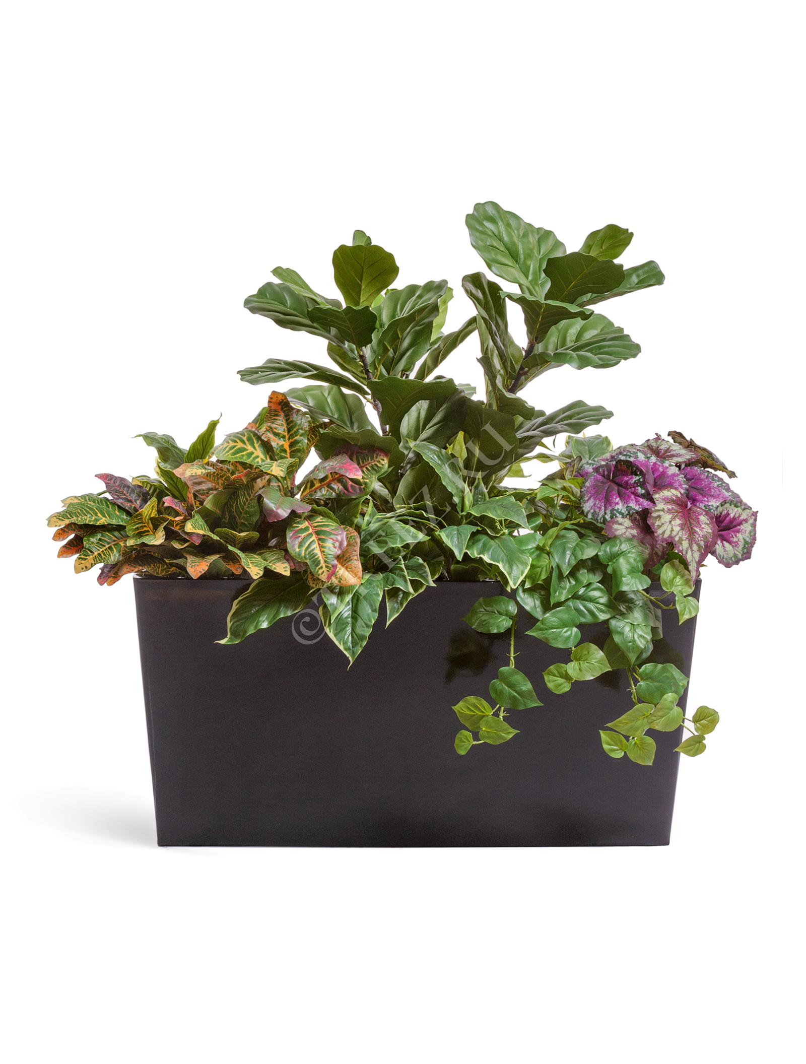 41.216-06-006-BBD100 Кашпо  Japonica Hikari - Devider (узкая трапеция) - чёрный глянцевый лак Цветочная коллекция  - Вид №2