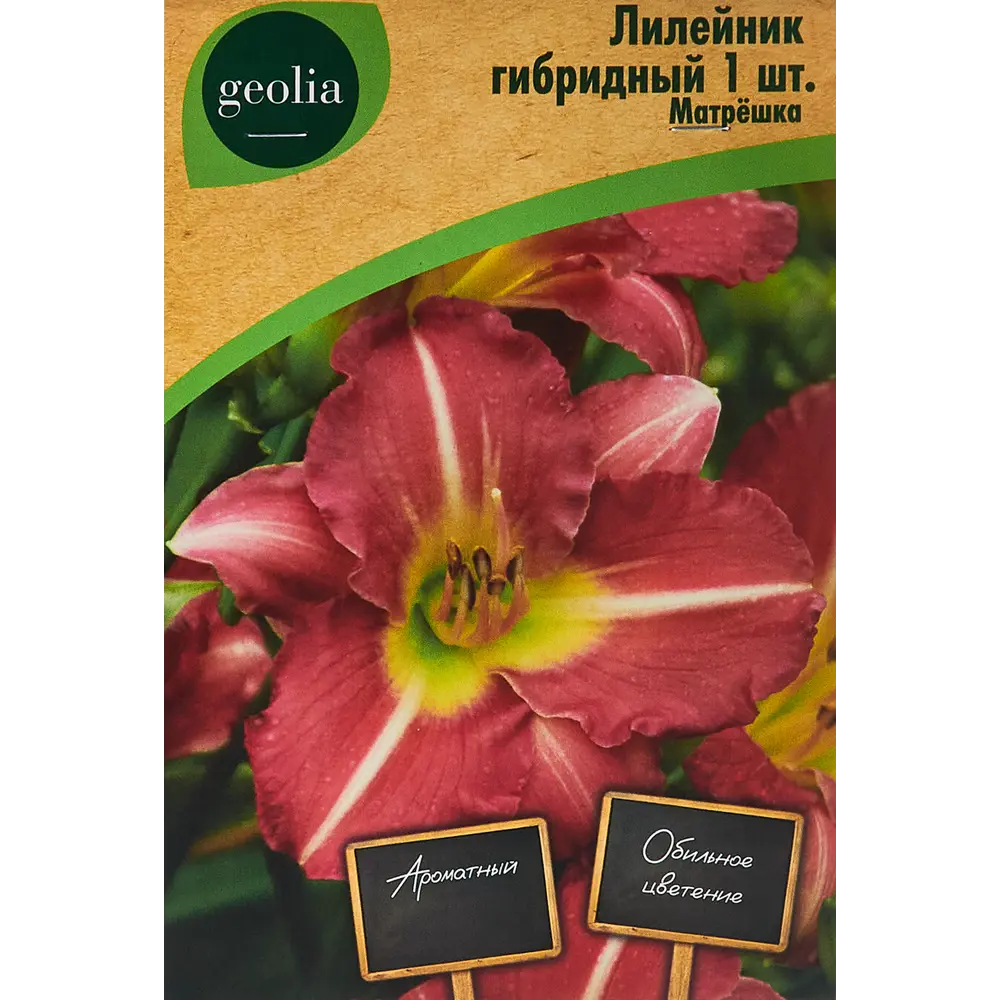 Лилейник Geolia гибридный Матрешка 86408702 STLM-2057190 
