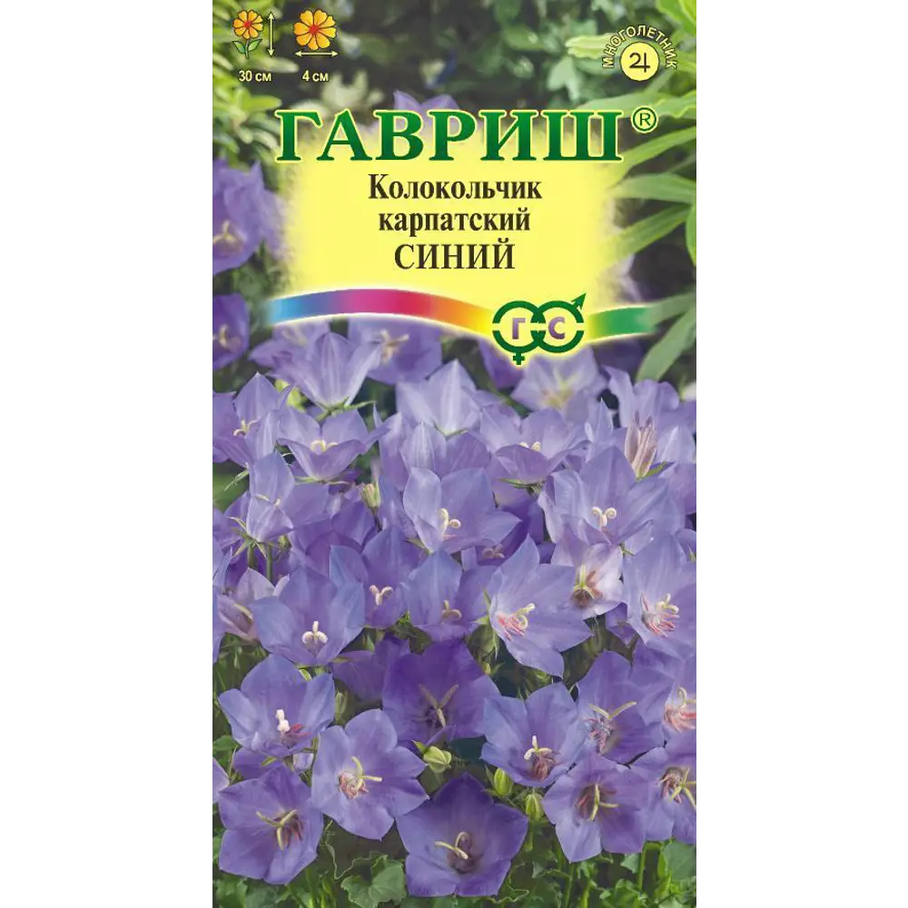 Семена Колокольчик карпатский синий 83606957 STLM-2202677 ГАВРИШ 