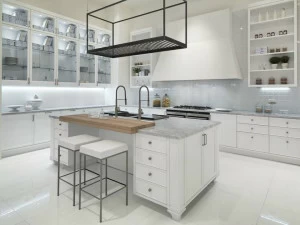 Aster Cucine Лаковая оборудованная кухня с островом Avenue