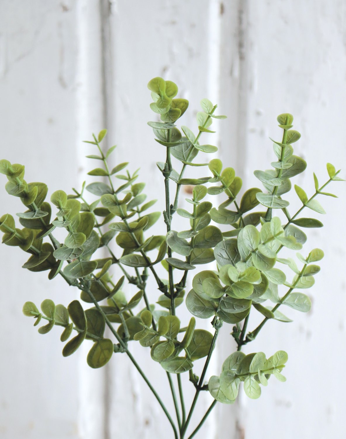 5323 883 a3 Искусственный куст эвкалипта, 30 см, зеленый H-andreas  - Вид №1