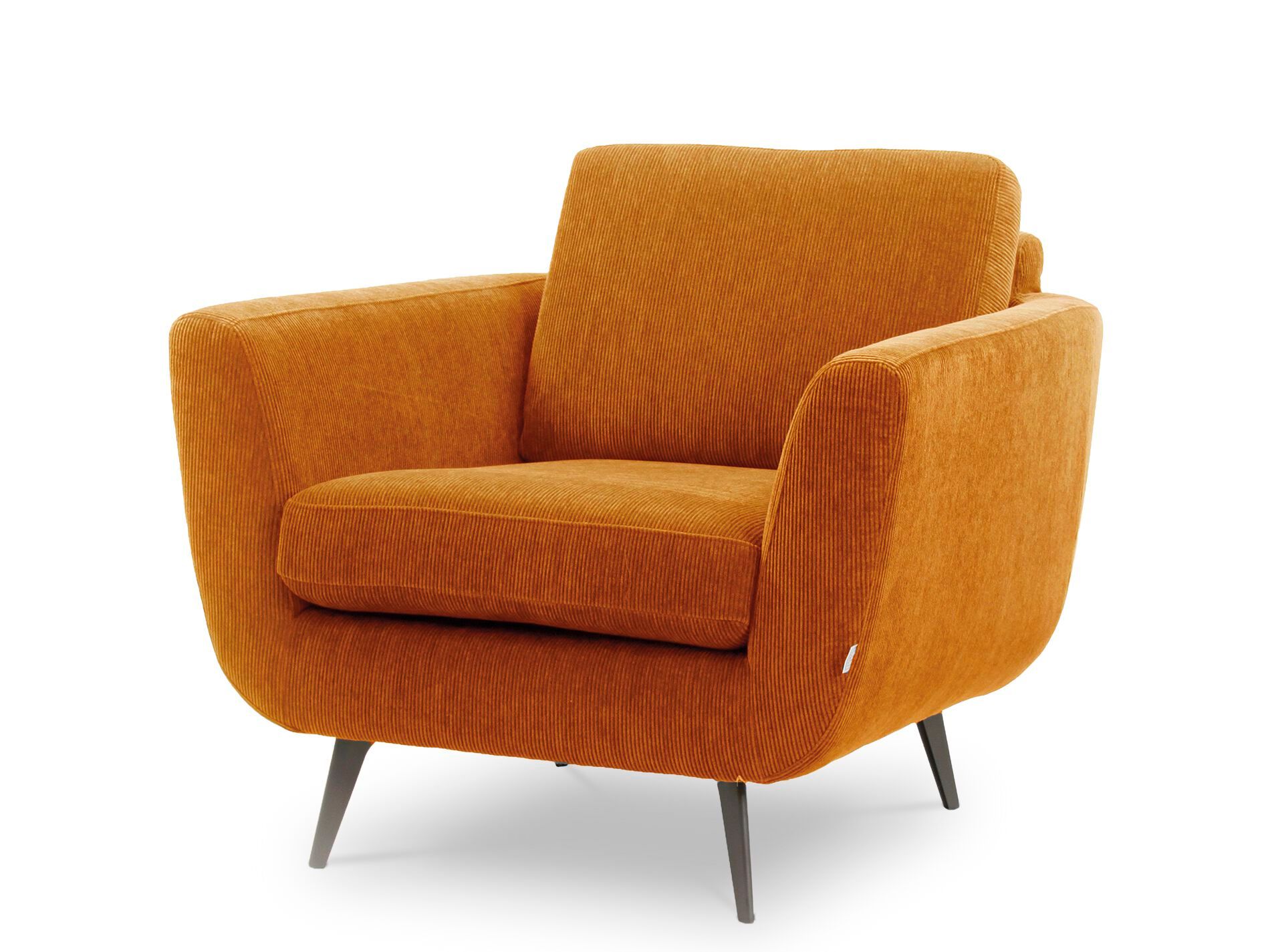 Тканевое кресло с подлокотниками Pilma Moon ARCH-00045504