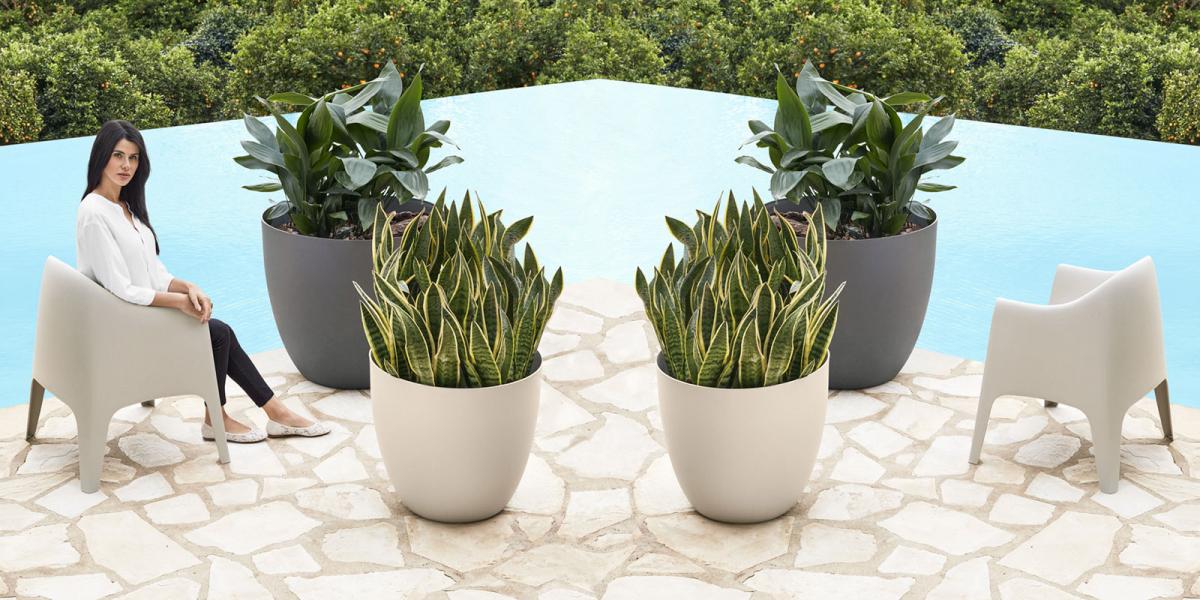 096253 Кашпо 80 Vondom Easy bowl  - Вид №1