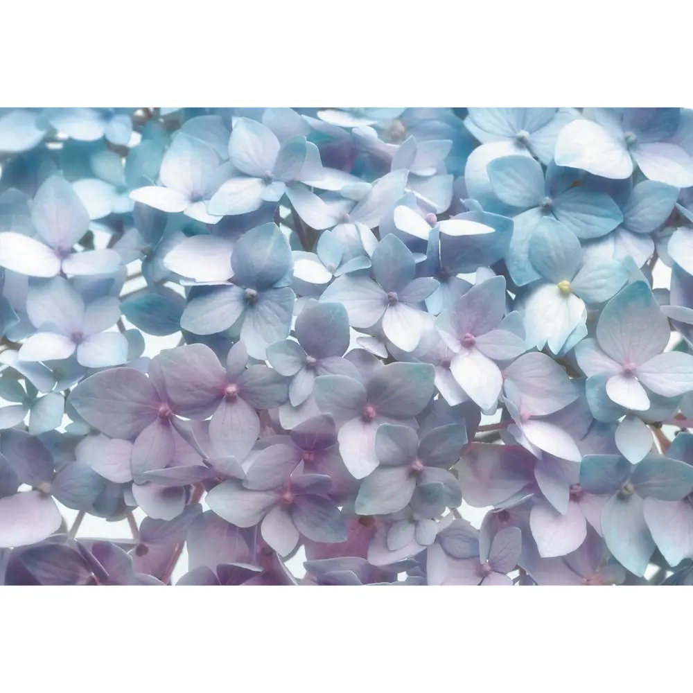 Фотопанно бумажное «Light Blue» 368х254 см 17831652 STLM-2106562 Komar 