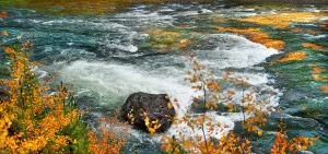 Фотокартина 30х80 см "Охра" PANKOVSKY STUDIO ПЛАСТИФИКАЦИЯ 015881 Белый;желтый;серый