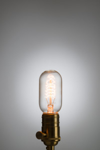 2000000053233 Винтажная лампа Эдисон Radios Squirrel Сage (Т45) 24 нити ELECTRORETRO