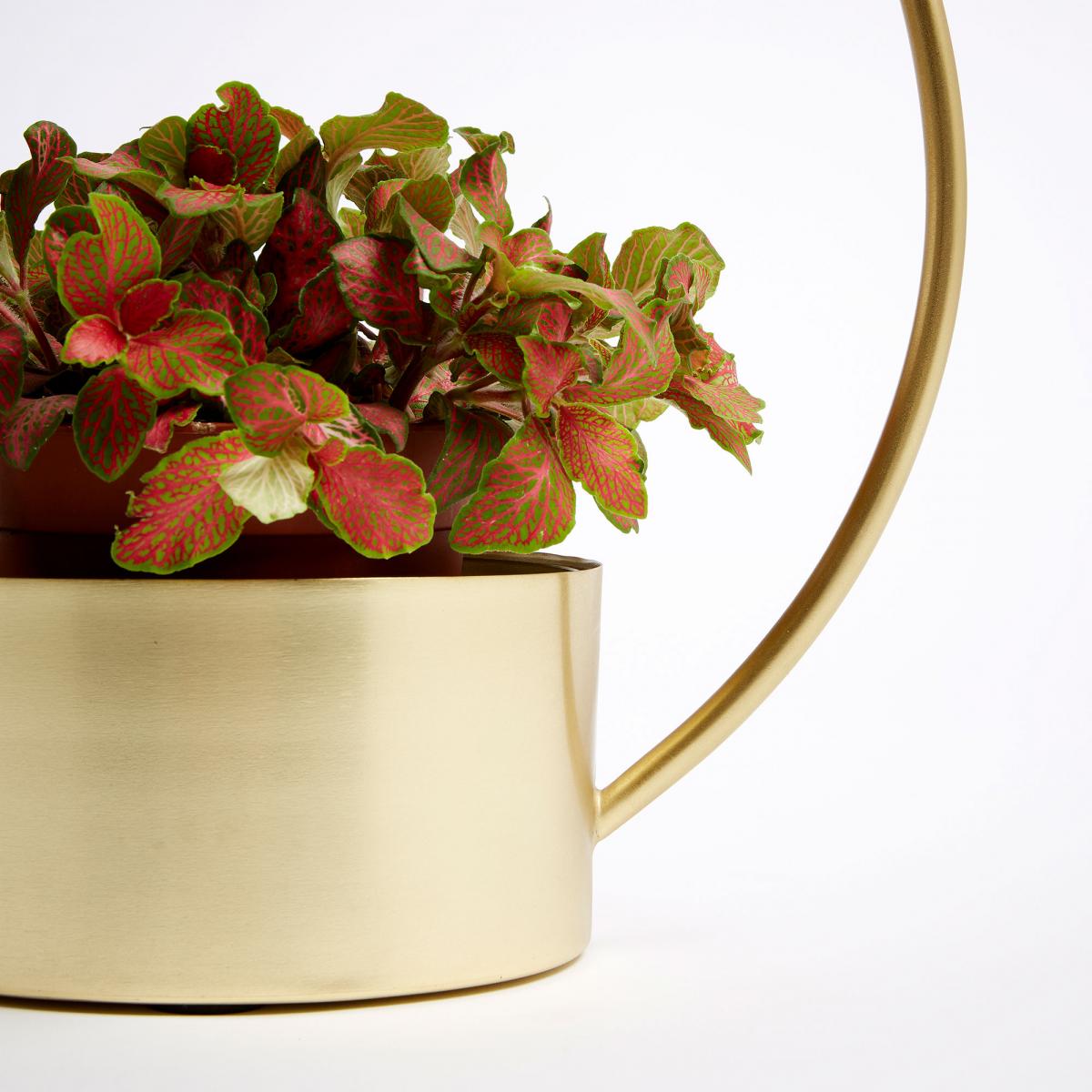 067445 Цветочный горшок золотой металл La Forma Even - Вид №1