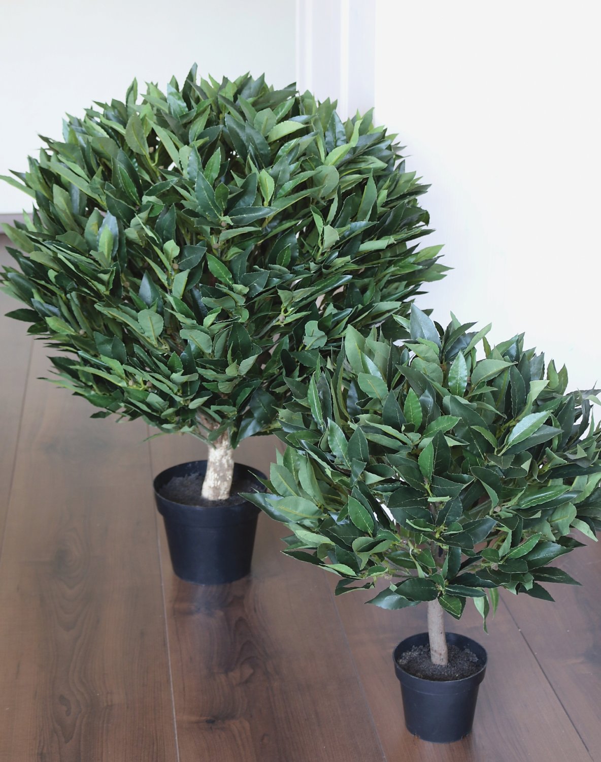 5046 883 a3 Лавр лавровый, 70см, 1554 листа, в горшке, зеленый H-andreas  - Вид №1