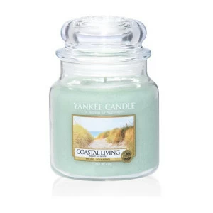 Свеча средняя в стеклянной банке "Жизнь на берегу" 411 гр 65-90 часов YANKEE CANDLE  267967 Голубой