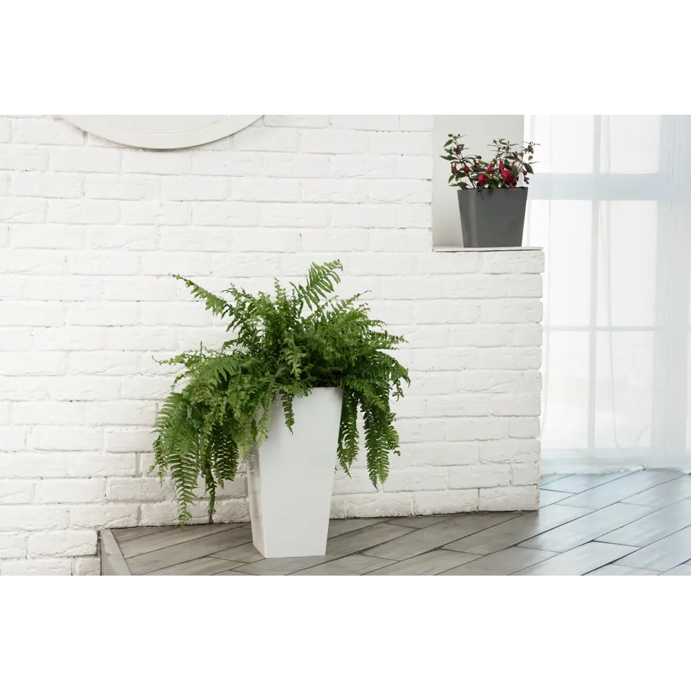 INGREEN Cube — кашпо для комнатных растений в стиле минимализм 89393221 STLM-1335547 - Вид №7