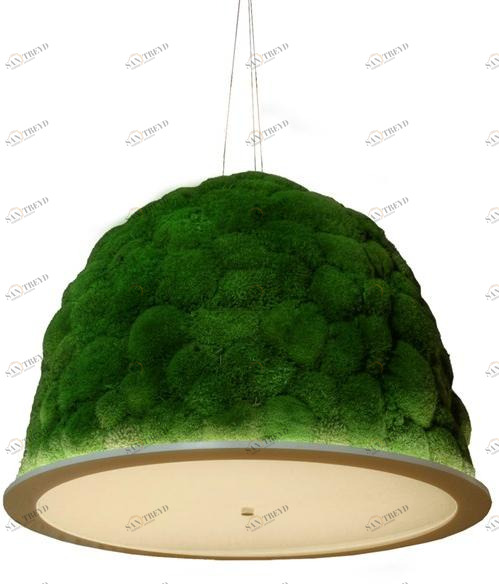 Freund GmbH Led подвесной светильник с мхом sun-id-1350136