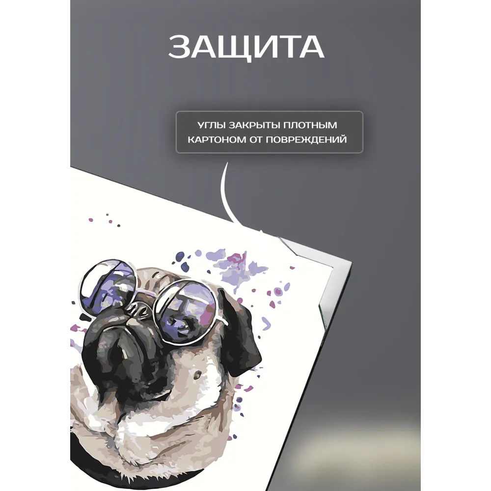 Картина на холсте Мопс 30x30 см 87233241 STLM-2101025 FBRUSH  - Вид №4