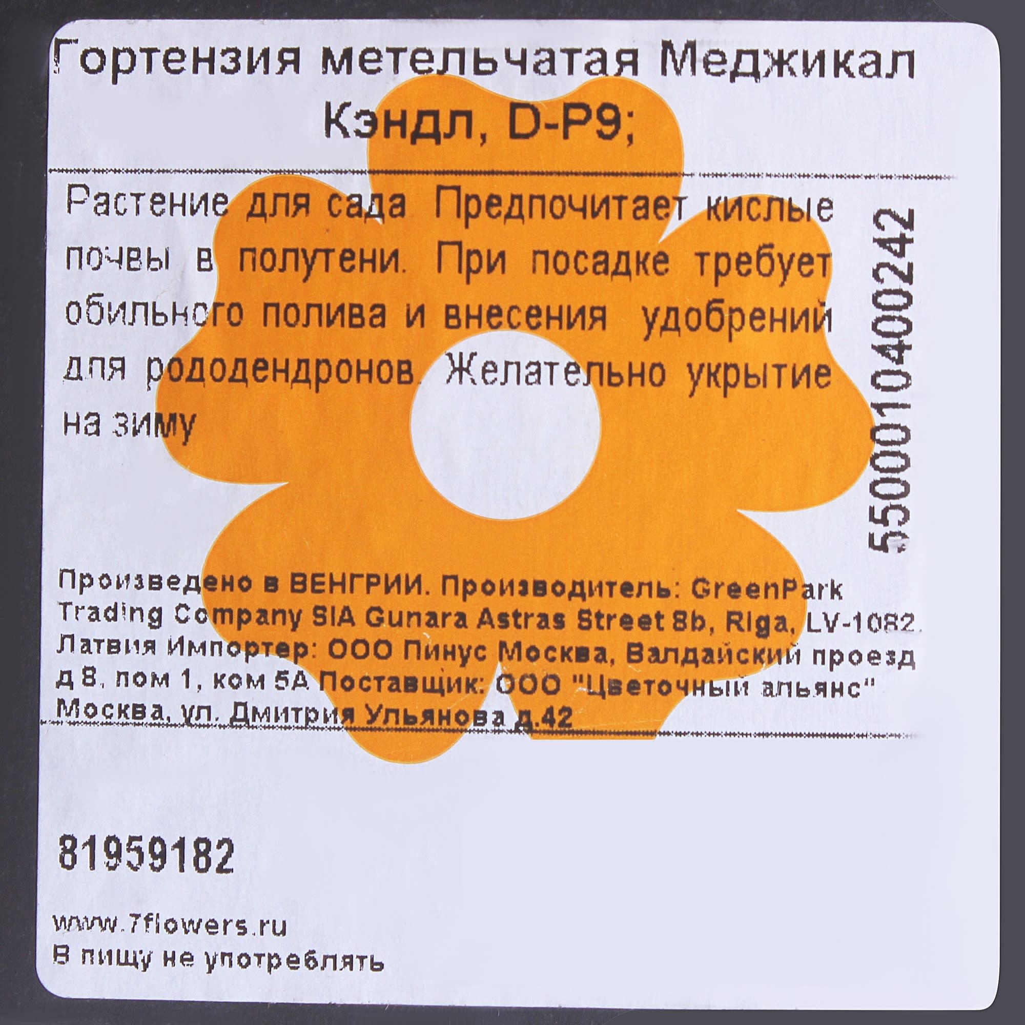 81959182 Гортензия метельчатая «Меджикал Кэндл» Р9 Santreyd 