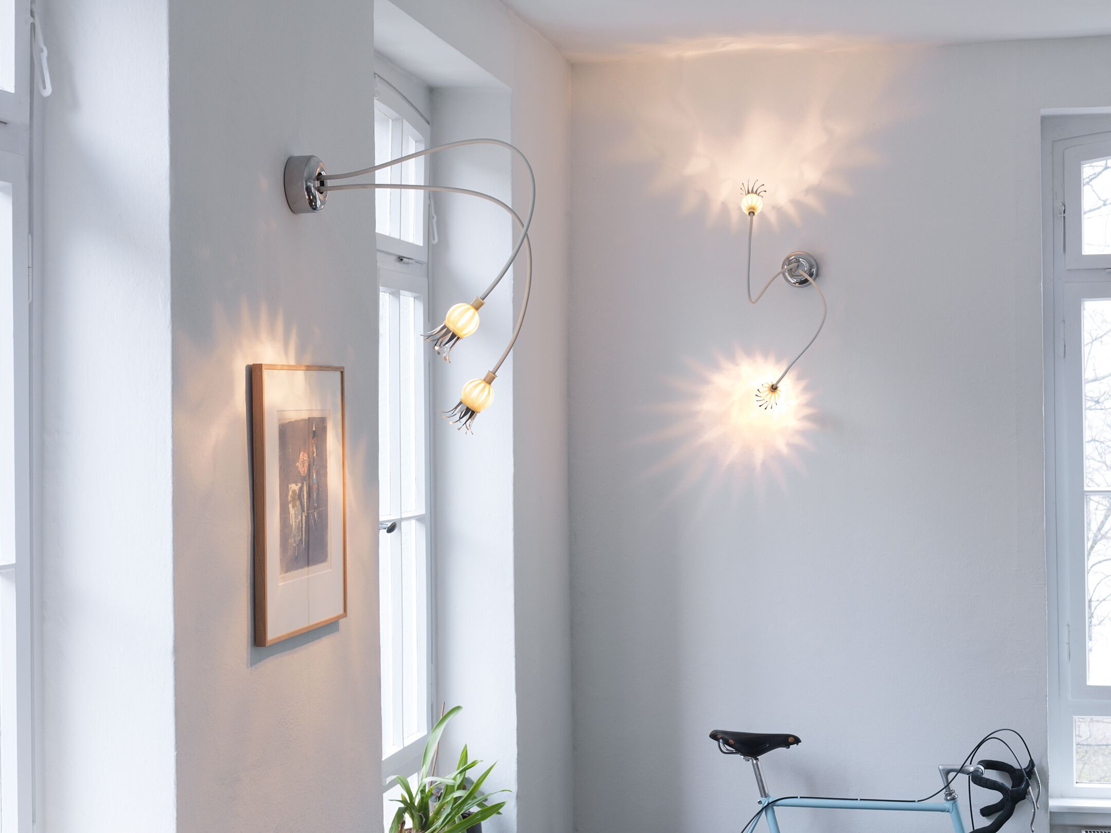 Алюминиевый и стеклянный настенный светильник с гибкой рукояткой serien.lighting POPPY ARCH-00006700 - Вид №4